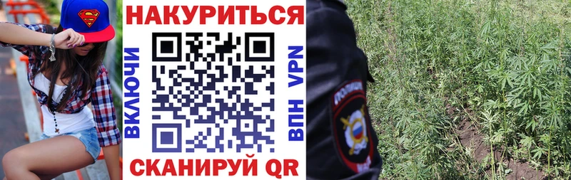 Где можно купить наркотики Губкин Cocaine  СОЛЬ  МЕФ  Гашиш  Бошки Шишки 