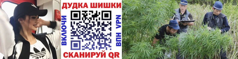 Бошки Шишки ГИДРОПОН  Губкин 